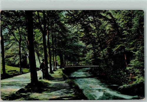 Bad Wildbad Enz Waldallee Ruhebank