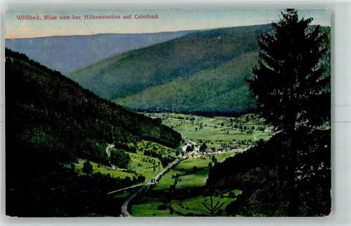 Bad Wildbad Blick von der Höhenstation auf Calmbach