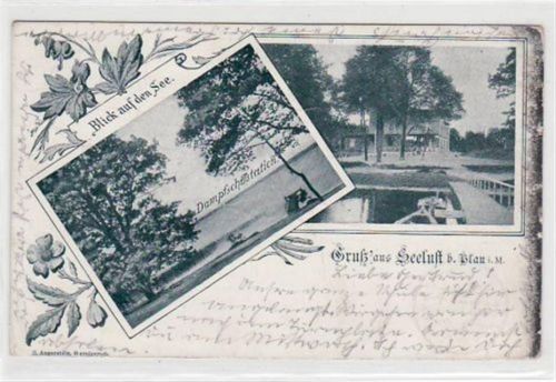 Plau Gruß aus Seelust bei Plau i. Meckl. mit Dampfschiffstation gelaufen von 1899. Oxydationsspuren rechter Rand, kleiner Knick unten rechts, leichte Eckabschürfungen und Rändern, sonst gut erhalten.