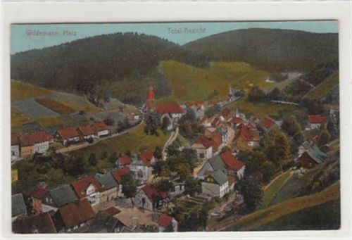 Wildemann Wildemann, Harz. Total - Ansicht gelaufen, 1935. Gute Erhaltung.