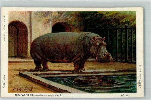 1918 im Zoo sign. M.A. Koekkoek