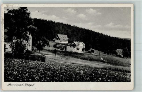 Steinheidel Blumenwiese