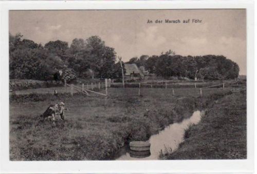 An der Marsch auf Föhr ungelaufen Gute Erhaltung.
