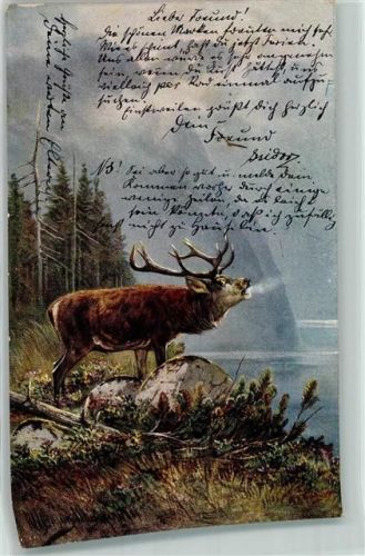 1902 Serie 844 Haar- und Federwild Hirsch AK