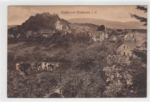 Lindenfels Lindenfels im Odenwald. Gesamtansicht gelaufen, 1924. Gute Erhaltung.