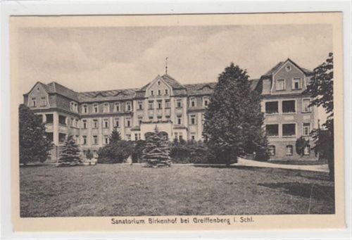 Greiffenberg Sanatorium Birkenhof bei Greiffenberg / Gryfów Slaski - Kreis Löwenberg / Lwówek Slaski in Schlesien ungelaufen Top Erhaltung.