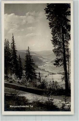 Feldberg Menzenschwander Tal