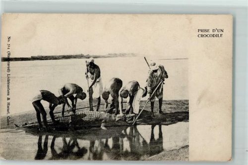 Jagd Volkstypen AK Krokodil 1898
