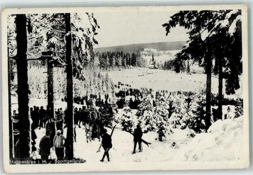 Hahnenklee Wintersportgelände Skiläufer Rodelschlitten Winter