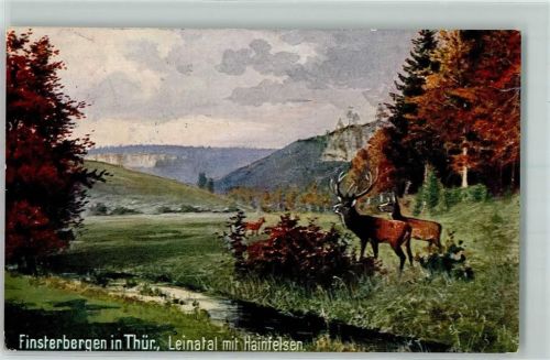 Friedrichroda 1910 Leinatal mit Hainfelsen Hirsche Ort handschriftlich Wiedemanns Künstlerkarte Serie Finsterbergen Nr. 1865 A