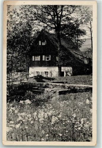 Knopfhammer