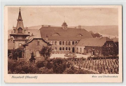Neustadt Neustadt an der Haardt. Wein- und Obstbauschule gelaufen kleiner Knick unten links, leicht fleckig, sonst gut erhalten