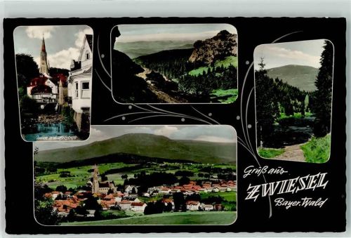 Zwiesel Buck v.d. Holztrift