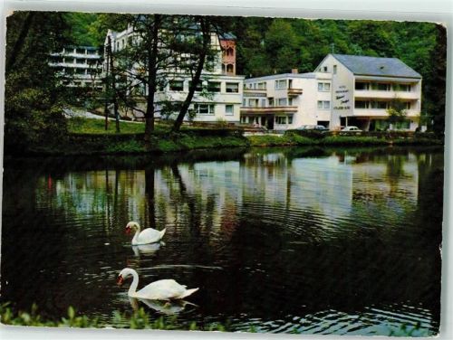 Bad Bertrich Schwanenteich Schwäne Hotel
