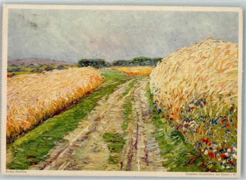 Eduscho Serie sign. Bertha Schilling Kornfelder AK