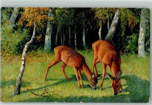 Rehe äsen signiert Walter Heuberger? AK