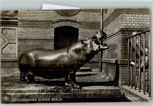 Berlin Mitte 1915 Zoo Berlin AK