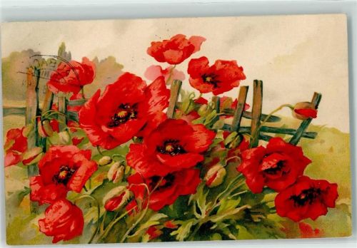 Mohnblumen Meissner u. Buch Serie AK