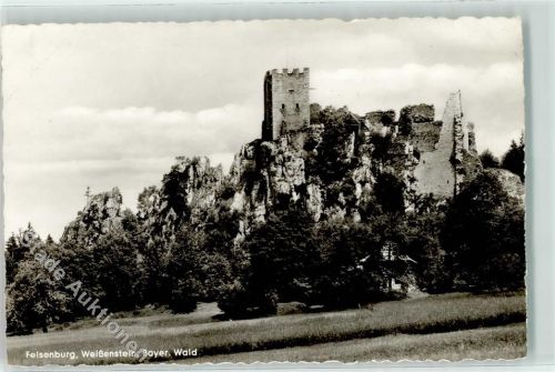 Regen Felsenburg Weißenstein
