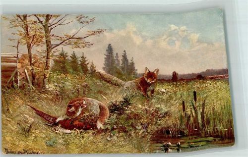 1900 Jagd Fuchs Federwild Serie 1041 Haar- und Federwild II Nr. 5 AK