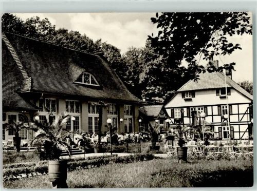 Wernigerode Gasthaus Storchmühle Terrasse Palmen