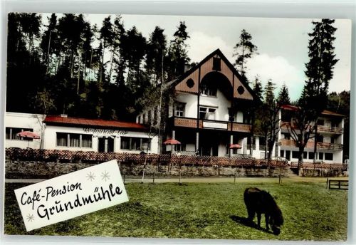 Marktschorgast Pension Gasthaus Cafe Grundmühle Pony