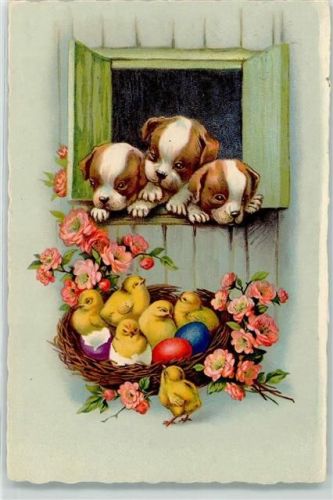 1930 Welpen schauen aus dem Fenster Küken im Nest und Rosen AK