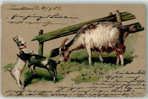 1904 Muttertier mit Zicklein AK