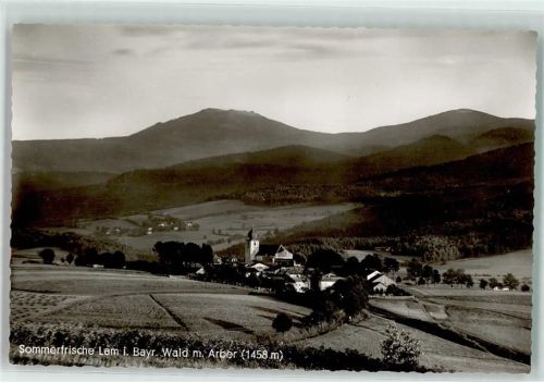 93462 W8496 Lam , Oberpf - m. Arber