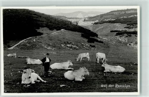 auf der Raxalpe