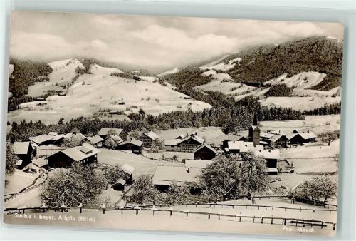 Steibis Winter