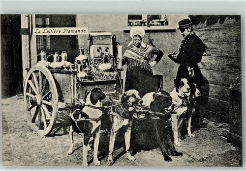 Hundekarren