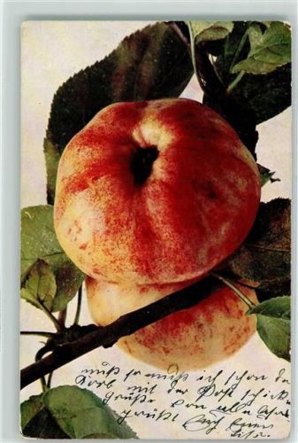 Gravensteiner Apfel