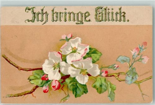 1906 Ich bringe Glück Rosen Blüten AK