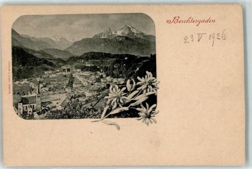 83471 W8240 Berchtesgaden - Edelweiss Watzmannmasiv