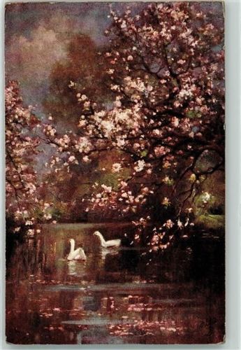 1913 Schwan Kirschblüten Oilette Serie Baumblüte Nr.9638