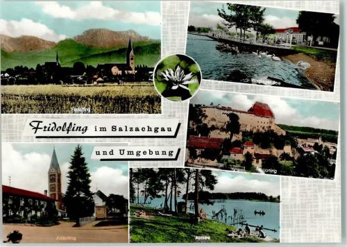Fridolfing Waginger See Abtsee Burg Tittmoning Seerose