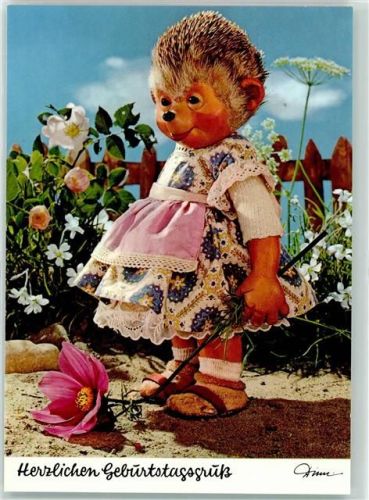 Herzlichen Geburtstagsgruß Blumen Nr.458