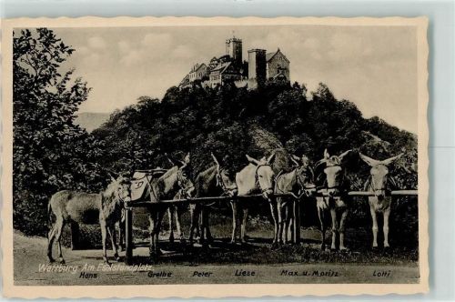 Eisenach Eselstandplatz Wartburg