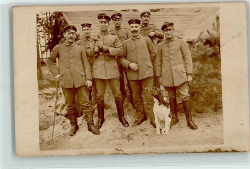Kleiner Münsterländer Welpe Uniform