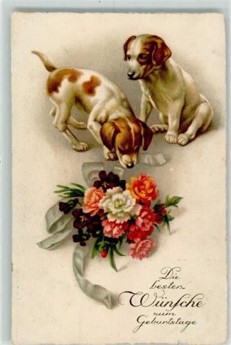 Beagel Geburtstag