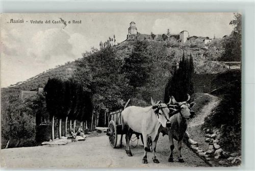 Assisi Ochsengespann Veduta del Castelo a Nord