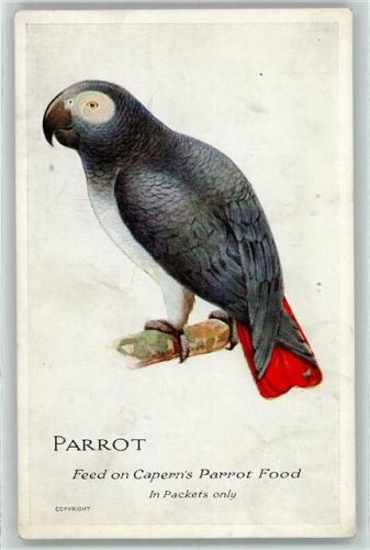 Caperns Bird Foods Werbung AK