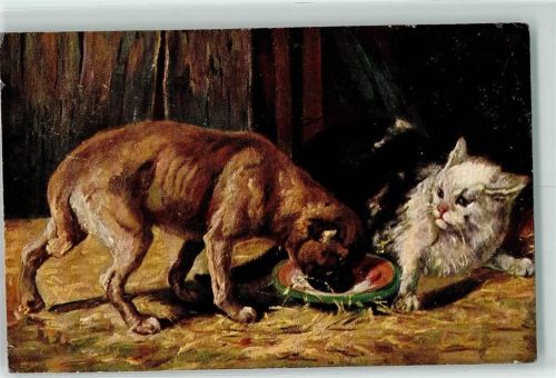 1905 Mischling Katze Serie 447