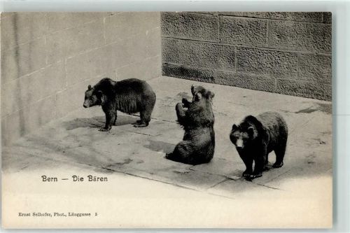 Bern