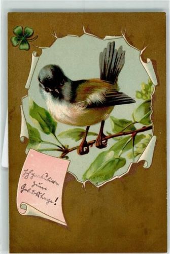 Meise Kleeblatt