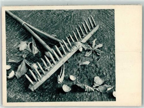 Photo Porst Werbung - Nun fallen die Blätter von J. Reil - Rechen mit Laub