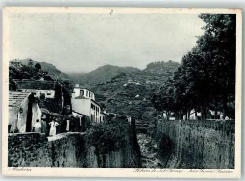 Madeira Ribeira de Foao Gomes
