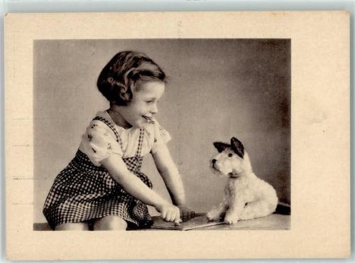 Kind Stofftier Fox Terrier AK