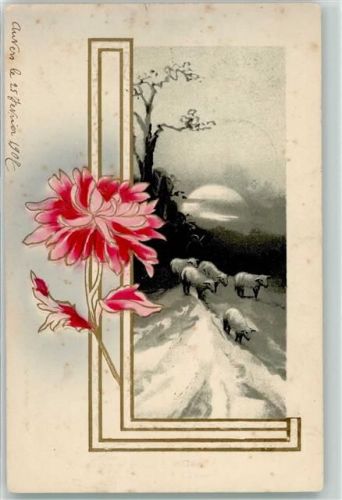 1907 Blumen Nacht Schnee